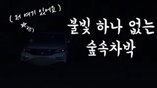 No35. 가로등 불빛하나없는 깊은 숲속차박. 쫄보가 이렇게 깜깜한곳에서 잤다고?!!! //스텔스 솔로차박 | 미니멀노지차박