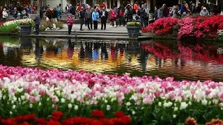 Tulip Time 2019 in Holland, Michigan | Preview This & More Flower Festivals Across America