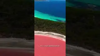 Pink Lake: Australia's Lake Hillier Unveiled #pinklake #australia
