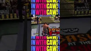 The Undertaker front and back finisher (Virtual Pro Wrestling Salvo)