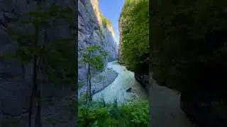 nature status || beautiful nature short video #cinematic #shorts #shortsfeed #outdoor #closetonature