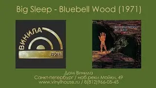 1 Группа 1 Альбом ● Big Sleep - Bluebell Wood (1971)