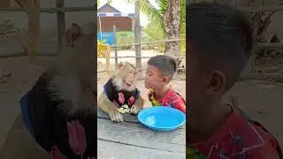 Challenge Snack Time Kids vs Monkeys Who Gets the Snack First