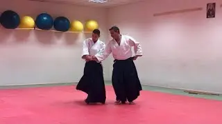 Aikido: Katate dori ai hanmi by Daniele MONTENEGRO sensei - Castenaso 2025 Part 1/2