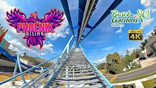 Phoenix Rising Roller Coaster On Ride Front Seat 4K POV Busch Gardens Tampa 2025 03 04