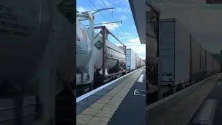 DL class diesel pulls a freight train past Waikanae towards Palmerston North #train #kiwirail