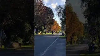 #violin #music #cover #cello #france #nature
