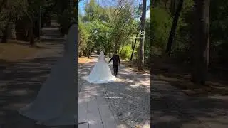 Veda…