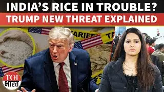 Explained: Donald Trump Threatens More Tariffs on Indian Rice! How Will It Impact India, Trade Deal