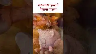 पळसाच्या फुलाने पैशांचा पाऊस | This flower will make you Rich | Sacred Tree | KA3