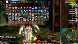 Guild Wars 2 Opening Coffers