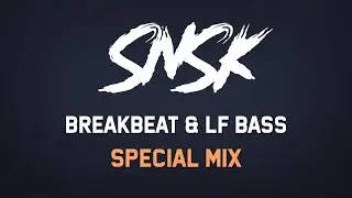 SNSK | Breakbeat & Leftfield Bass Mix (2020)