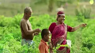 Nava Karnataka Event Promo | Impact Feature