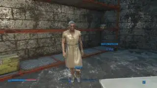 How to Duplicate Companions Clothing