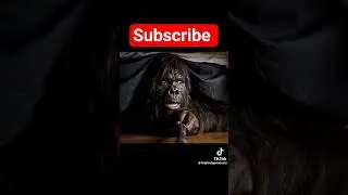 Subscribe For More Daily Bigfoot Content! #bigfoot #ai #aigenerated #diddy