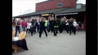 World's Largest Simultaneous Flash Mob - St Jacobs, Ontario (ViSalus)