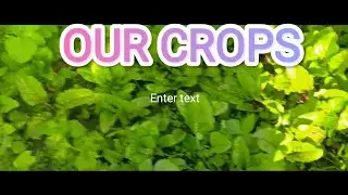 मेरे हरे भरे खेत #my beautiful crops# like share and subscribe my channel Himachali Srishti🇮🇳🙏🏻