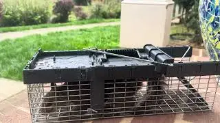 Kensizer Animal Humane Live Cage Trap Review