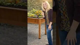 Моя спина в восторге от этой грядки Garvee! #Garvee #GarveeGardenbed