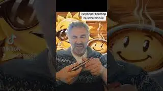 Mundharmonikas testet zum Hobby by isopopper baushop