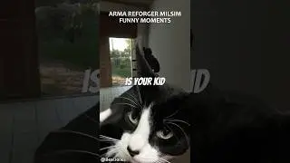 How do you want us to proceed? (ArmA Reforger Funny Moments)