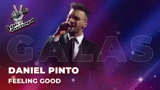 Daniel Pinto - 