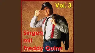It's Country Time (Deutsch - Playback)