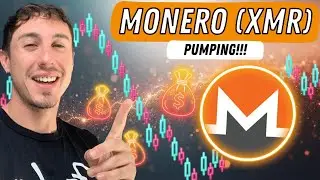 Сегодня XMR Monero демонстрирует невероятный рост цены!!! Прогноз цены XMR