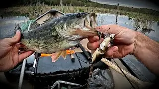 SPRO BBZ-1 Rat 30: Slaying Tons of BASS!
