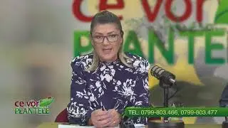 CE VOR PLANTELE CHRISTINA GHIBU  P1 26.01.2026