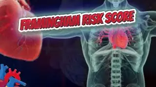 Framingham Risk Score - Human Heart ❤️ and Cardiology ❤️🔊✅
