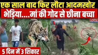 Bahraich Wolf Attack Terror: बहराइच में आदमखोर भेड़िये का आतंक! मां की गोद से छिना बच्चा | Bhediya