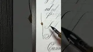 #каллиграфия #calligraphy #copperplate #көркемжазу ##shorts #shortvideo #божьякоровка