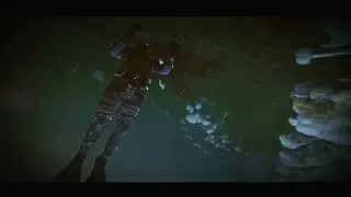Edmonds Free Dive Slow-mo
