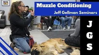 Muzzle Conditioning | Jeff Gellman Seminars