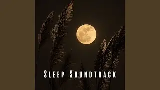 Serene Sleep Resonance