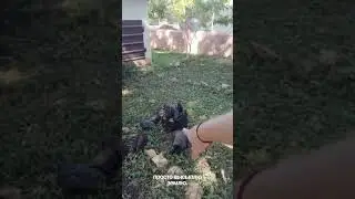 THE RUSSIAN EARTH MAN ERIK PLOTTS 2025 SPECIAL