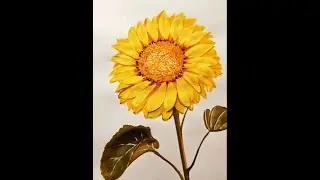 Learn Painting from Scratch - Discover a Beautiful Life