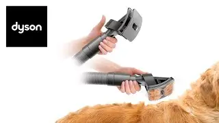 Беспроблемный уход за шерстью собак Насадка Dyson Groom в действии.