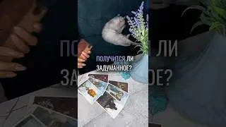 WILL YOUR PLAN WORK OUT? 🩵Tarot spread