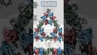 The Molecular Sierpiński Triangle Fractal  #science #biology #maths