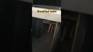 Breakfast table #song #hindisong #bollywood #music #bollywoodsongs #funny #pushpacomedy #comedydance