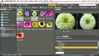 An Overview of Adobe Bridge - Adobe Photoshop CS6 Tutorial