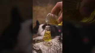 Great oil lamp #diy #outdoors  #bushcraft   #survival