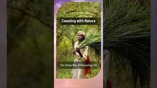 Counting with Nature