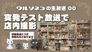 148 warusonekoワルソネコ のライブ00 テスト配信 2018.5.7