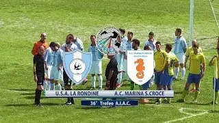 Sintesi 