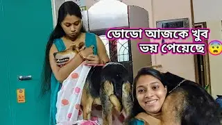 ডোডো আজকে খুব ভয় পেয়েছে 😨 ll Creative Piyasha ❤️ #vlog #dailyvlog
