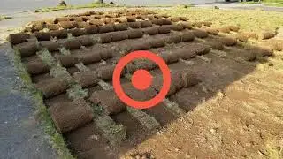 Sod Installation by Clean Cut Landscape, Lynden WA, New Turf in Bellingham, Blaine Whatcom County WA