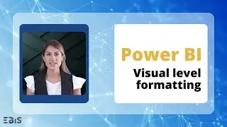 Visual Level Formatting in Power BI